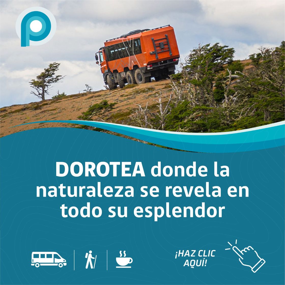 oferta patagonia planet