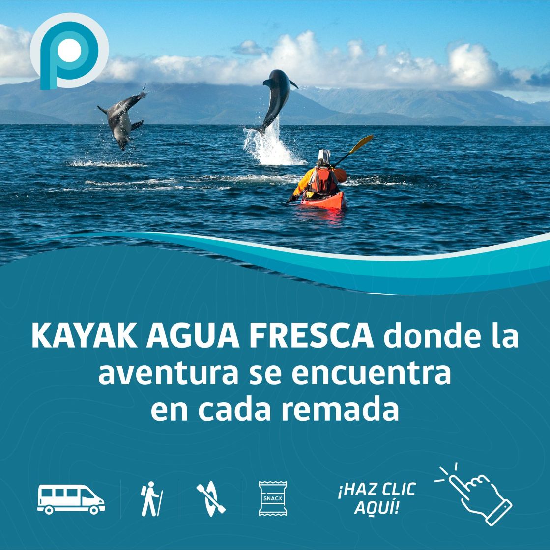 oferta patagonia planet