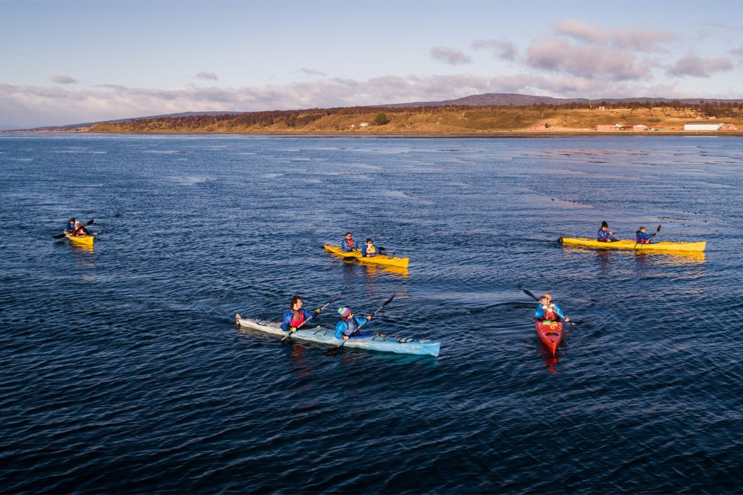 tour glaciar grey desde punta arenas